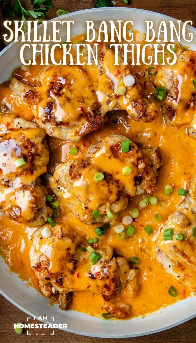 Chicken Thigh Recipes
